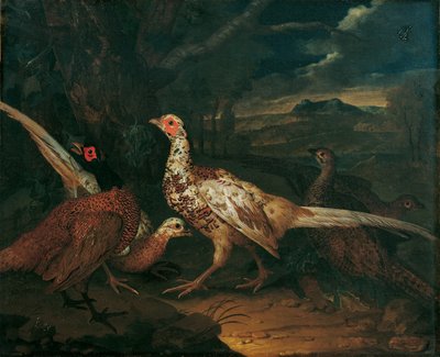 Pheasants by Philipp Ferdinand de Hamilton