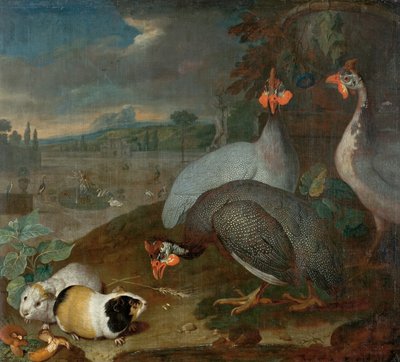 Guinea Fowls with Guinea Pig by Philipp Ferdinand de Hamilton