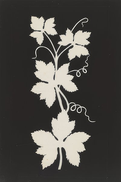 Vine Leaves by Philipp Otto Runge