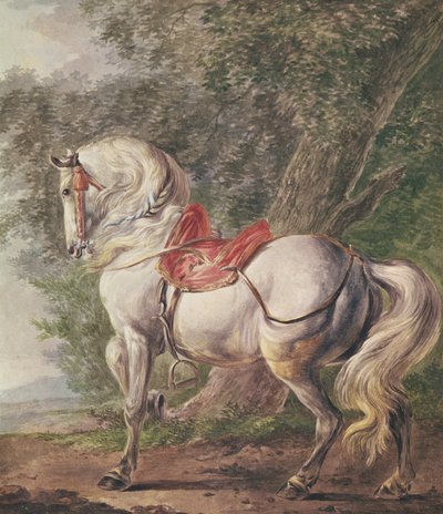 A White Horse by Philips Wouwerman