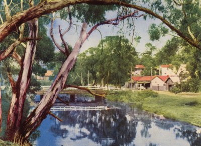 The Tranquil Stream by Photographer Australian