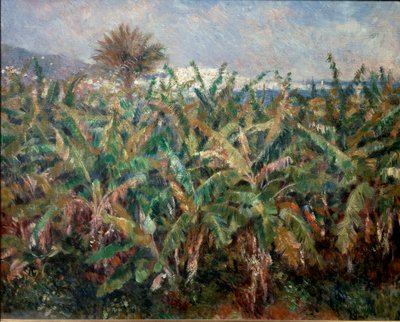 Banana Field by Pierre Auguste Renoir