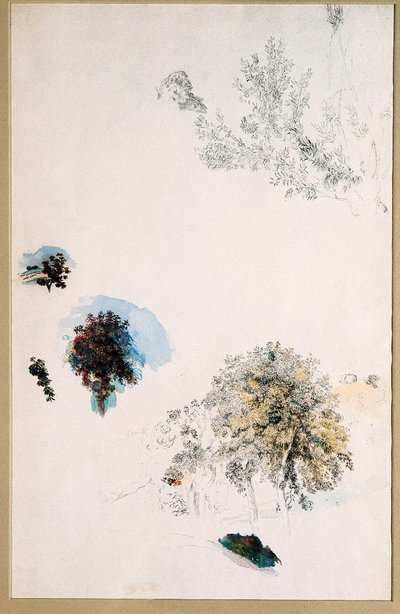 Studies of Trees by Pierre Auguste Renoir