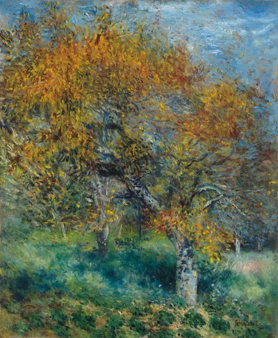 The Pear Tree by Pierre Auguste Renoir