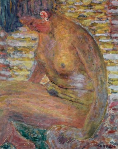 Female Nude by Pierre Bonnard