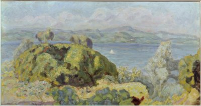 Landscape or Stormy Weather by Pierre Bonnard