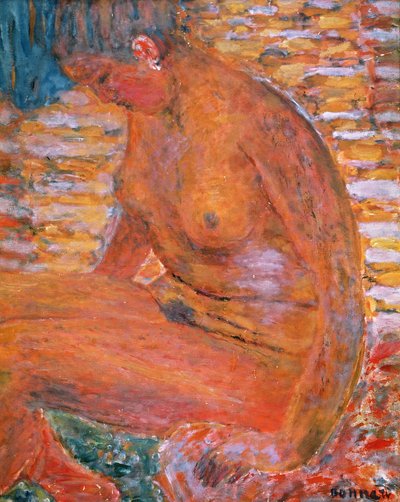 Sombre Nude by Pierre Bonnard