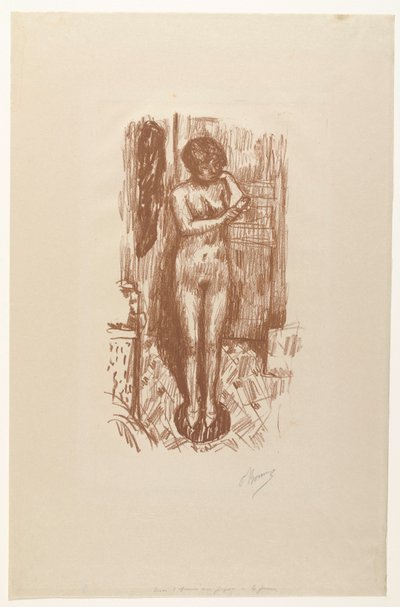 Standing Naked Woman Washing Herself by Pierre Bonnard