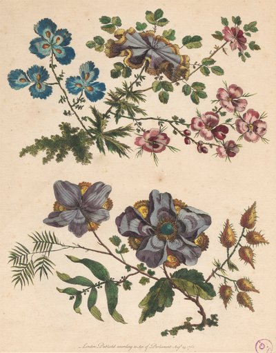 Two Sprays of Imaginary Flowers by Pierre Charles Canot