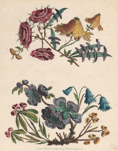 Two Sprays of Imaginary Flowers by Pierre Charles Canot