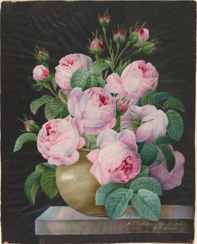 Pink Roses in a Vase by Pierre Joseph Redouté