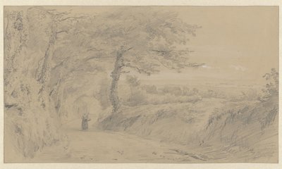 Landscape on Jersey by Pierre Louis Dubourcq