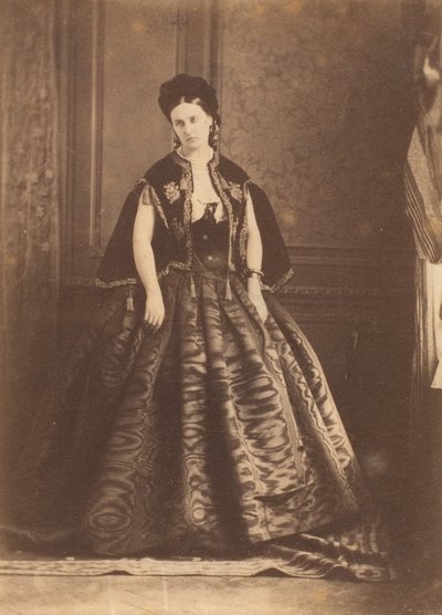 The Moiré Dress, 1860s by Pierre Louis Pierson