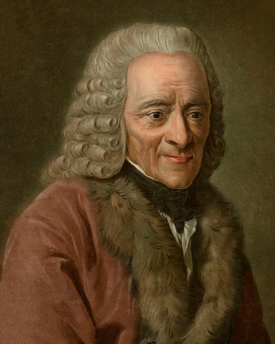 Portrait of Voltaire by Pierre Michel Alix