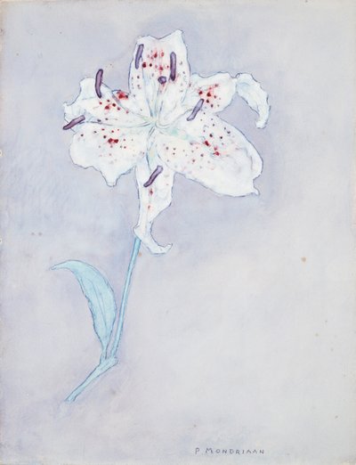 Lily, c.1920-25 by Piet Mondrian