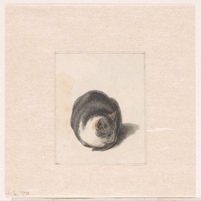 Seated Cat, Seen from the Front by Pieter Bartholomeusz. Barbiers