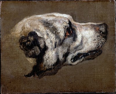 Head of a Hound by Pieter or Peter Boel