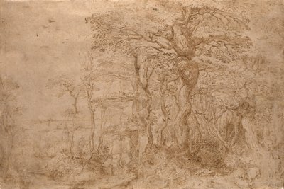 Sylvan Landscape with Five Bears by Pieter Bruegel the Elder