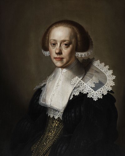 Portrait of a Lady by Pieter Dubordieu