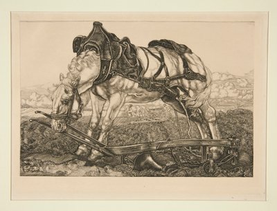 Work Horse by Pieter Dupont