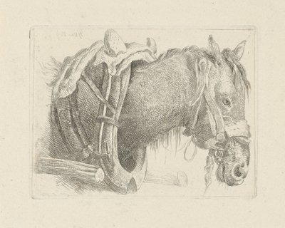 Study of a Horse