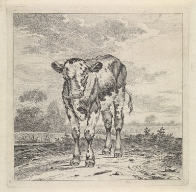 Landscape with Calf by Pieter Janson