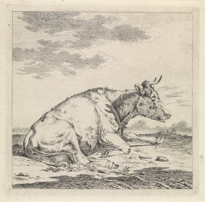 Lying Cow, Facing Right by Pieter Janson