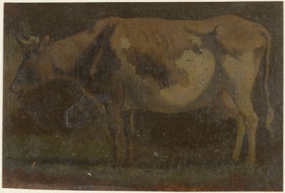Standing Cow, Facing Left by Pieter Janson