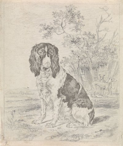 Sitting Partridge Dog by Pieter Janson
