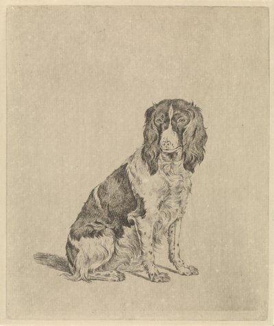 Seated Partridge Dog by Pieter Janson
