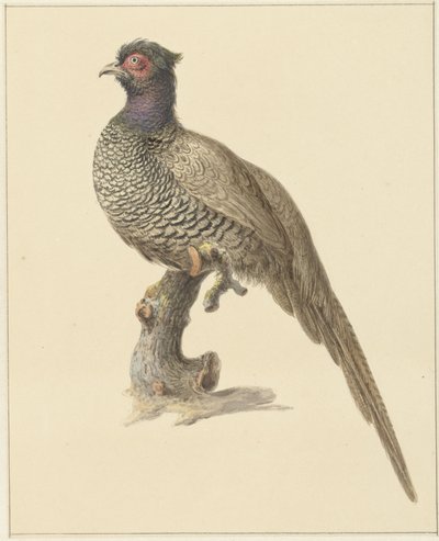 Hunting Pheasant by Pieter Pietersz. Barbiers