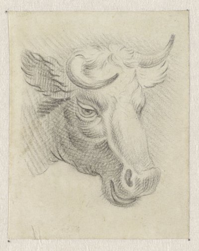 Head of a Cow by Pieter de Goeje