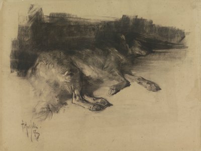 Lying, Sleeping Dog by Pieter de Josselin