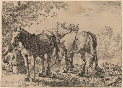 Three Horses in a Field by Pieter van Laer