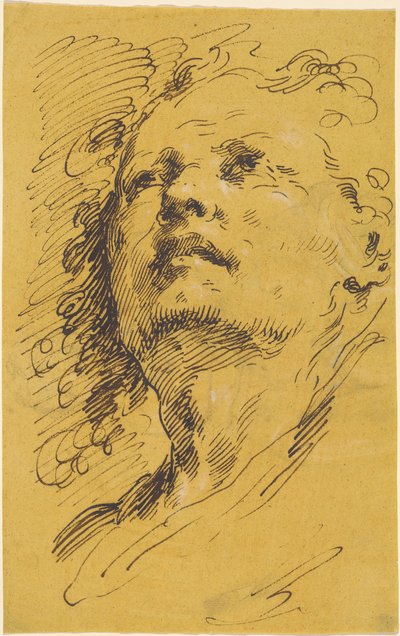 Head of a Man Looking Up by Pietro Antonio Novelli
