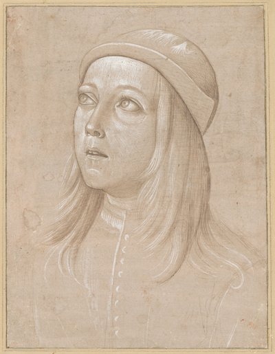 Head of a Youth Looking Up by Pinturicchio