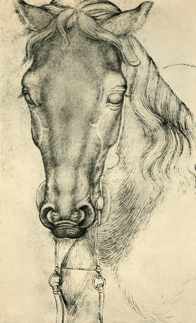 Head of a Horse, c1420-1455, 1943 by Antonio Pisanello