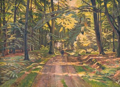 Forest Road near Dyrnæs by Poul S. Christiansen