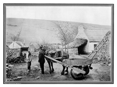 Old Irish Low-Back Car, 1901 by R. Welsh