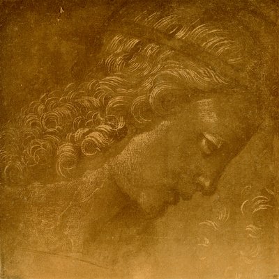 Study on an Angel Head by Raffaellino del Garbo