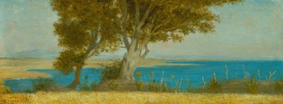 Marina di Castiglioncello by Raffaello Sernesi