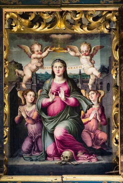 Madonna delle Grazie by Raffaello dal Colle