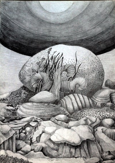 The Stone Egg by Raimondo Gambino