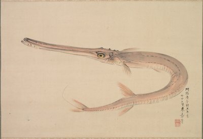Needlefish Yagara by Raisho Nakajima