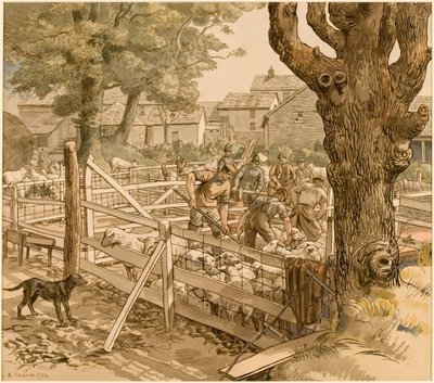 Sheep Dipping, Cornwall by Randolph Schwabe