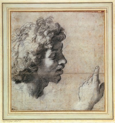Studies of a Man