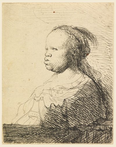 The White Black by Rembrandt van Rijn