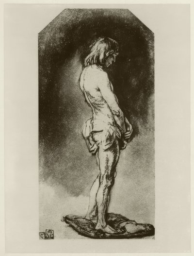 Male Nude by Rembrandt van Rijn