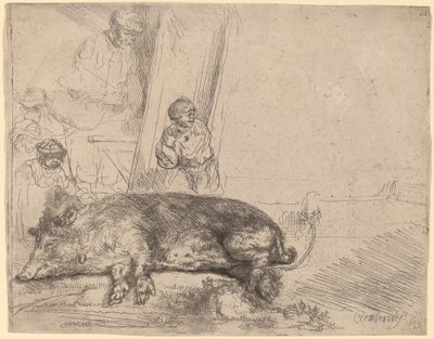 The Hog by Rembrandt van Rijn