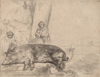 The Hog by Rembrandt van Rijn